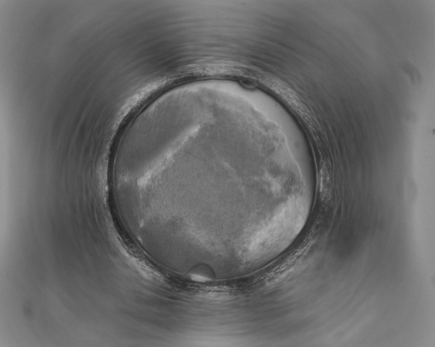 X0000111780438200908061118