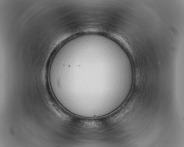 X0000111780439200908061118