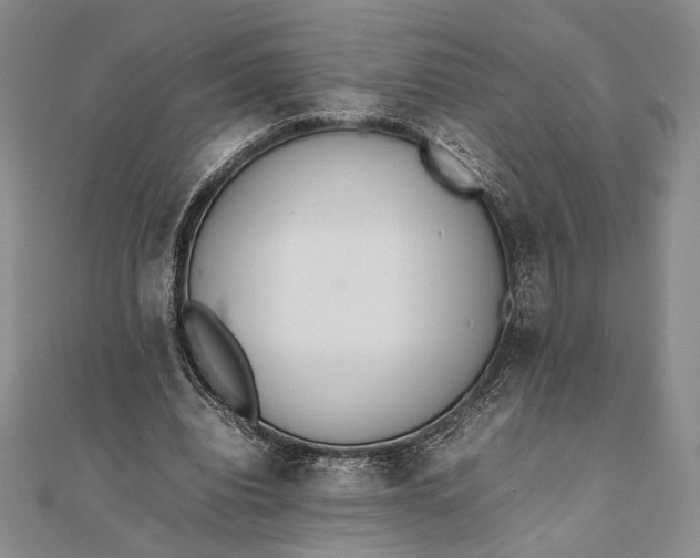X0000111780440200908061118