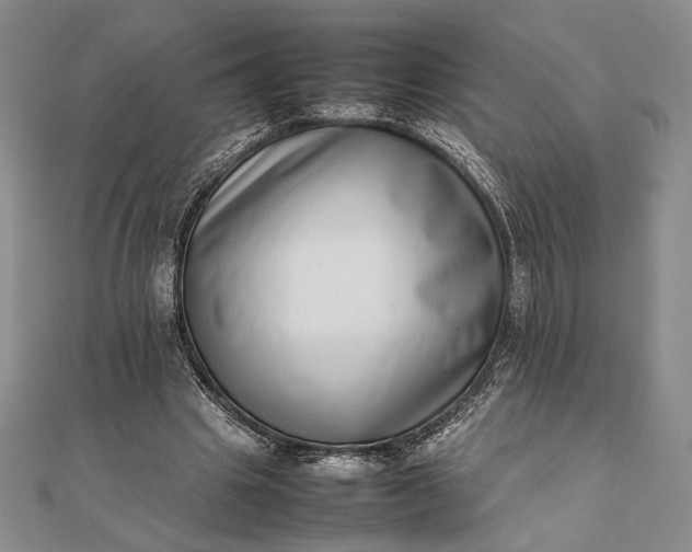 X0000111780441200908061118