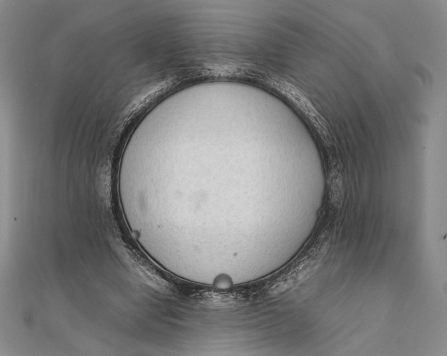 X0000111780442200908061118