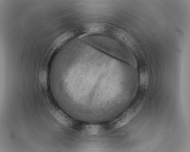 X0000111780444200908061118