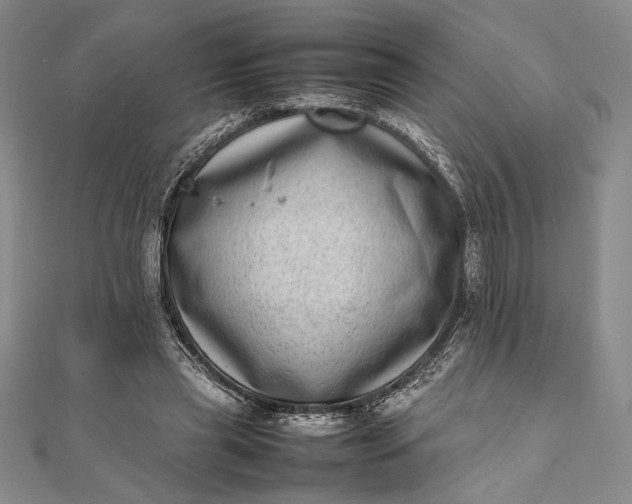X0000111780445200908061118