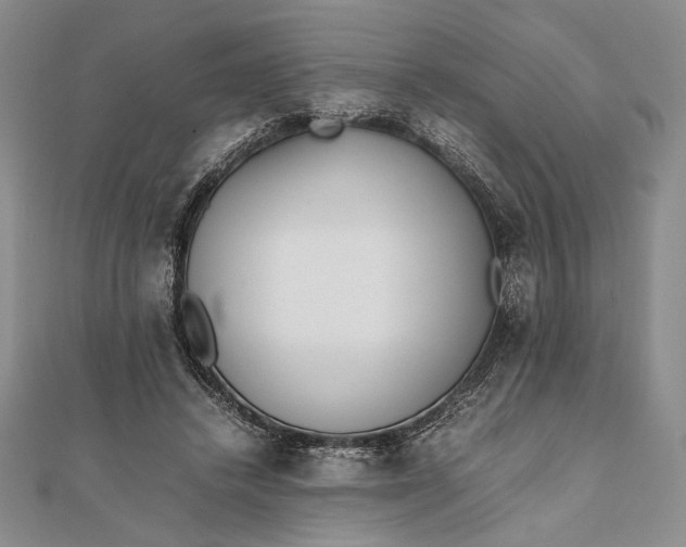 X0000111780448200908061118