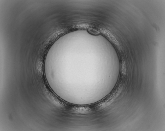 X0000111780449200908061118