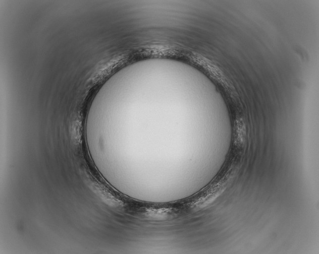 X0000111780450200908061118