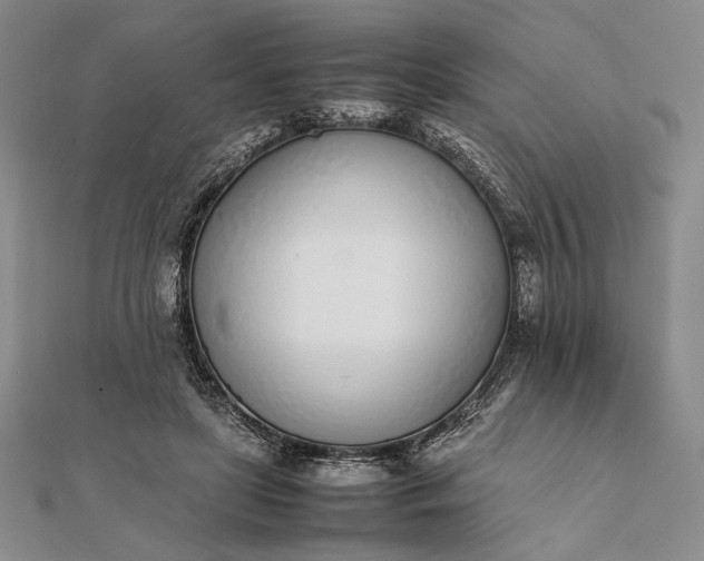 X0000111780451200908061118