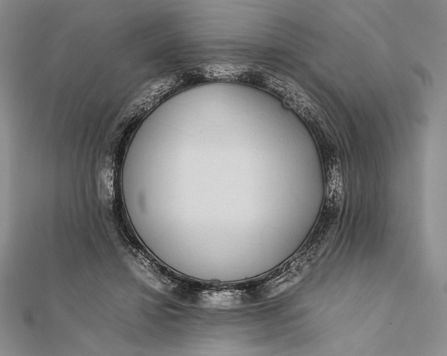 X0000111780452200908061119
