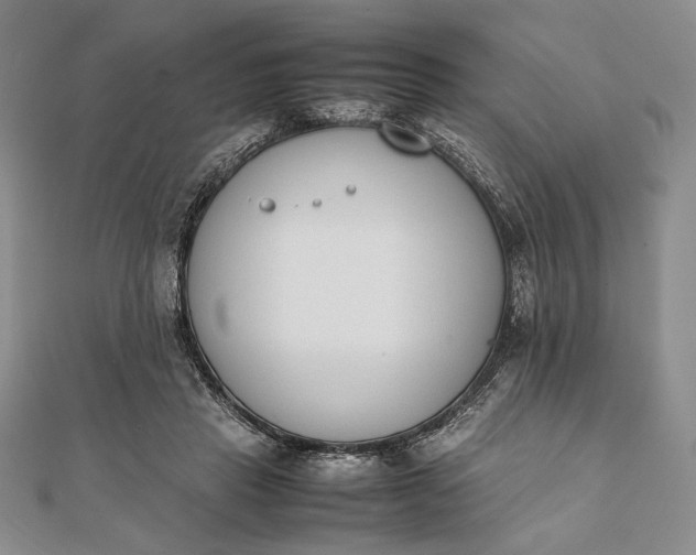 X0000111780453200908061119