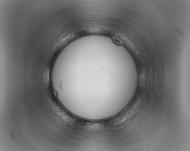 X0000111780454200908061119