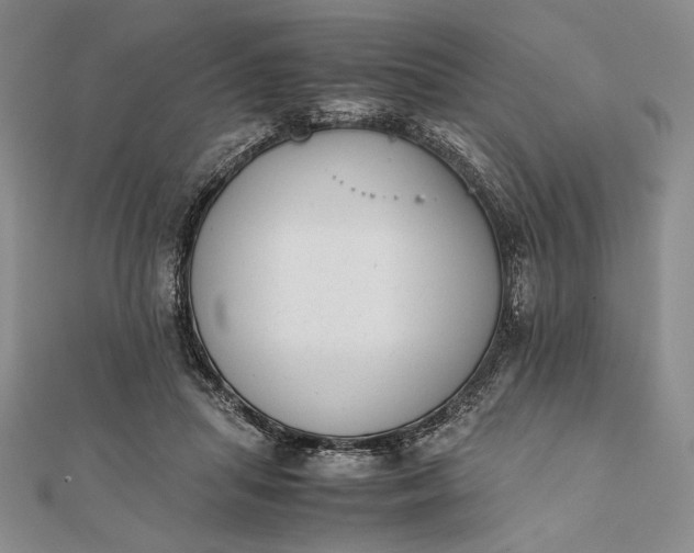 X0000111780455200908061119