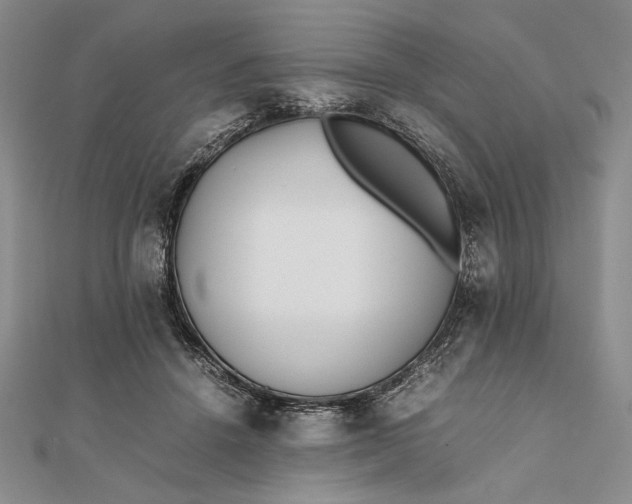 X0000111780456200908061119