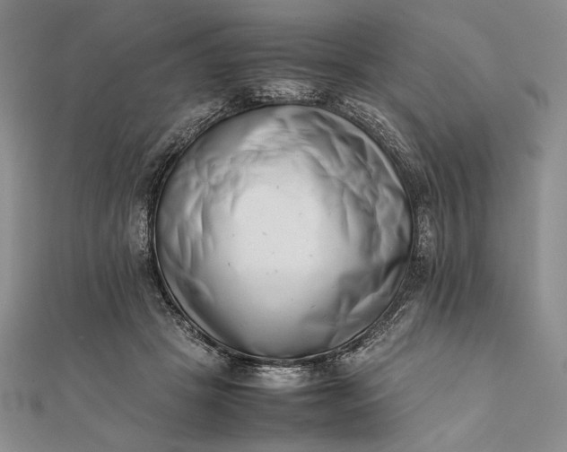 X0000111780457200908061119