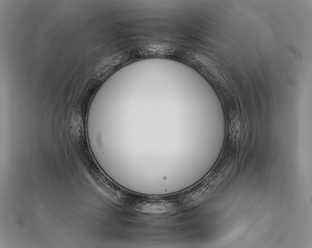 X0000111780459200908061119