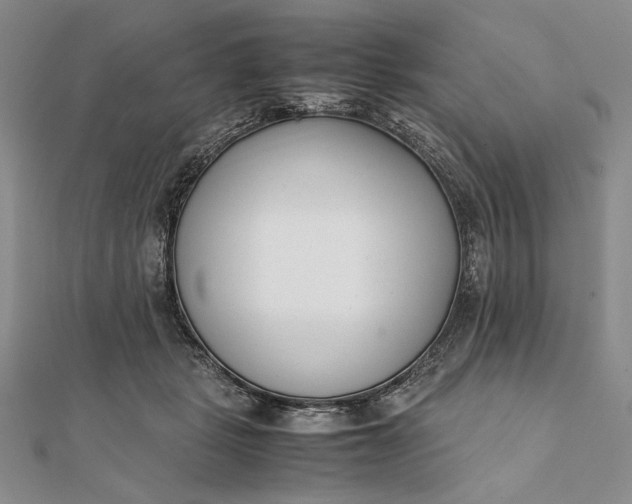 X0000111780461200908061119