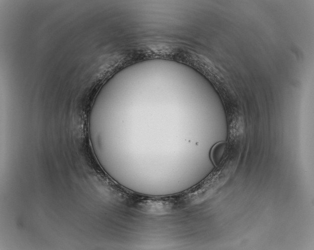 X0000111780464200908061119