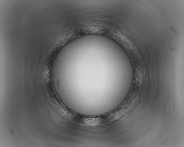 X0000111780465200908061119