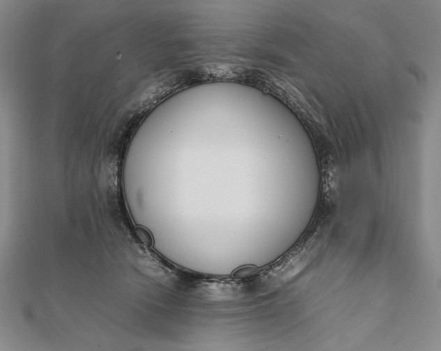 X0000111780466200908061119