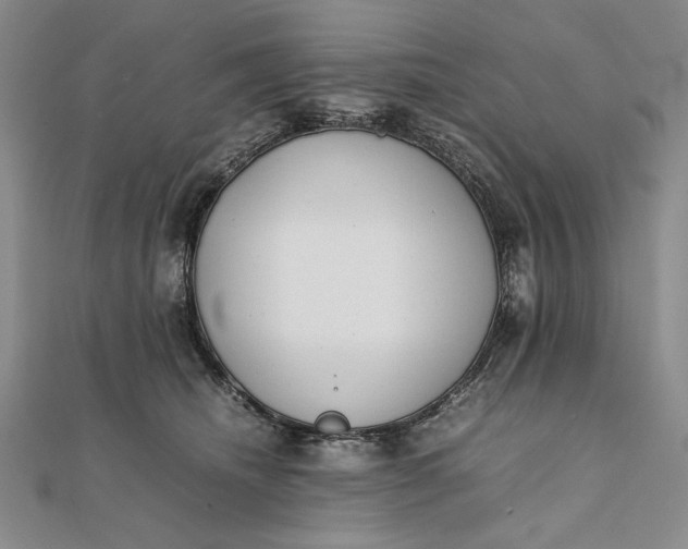 X0000111780468200908061119