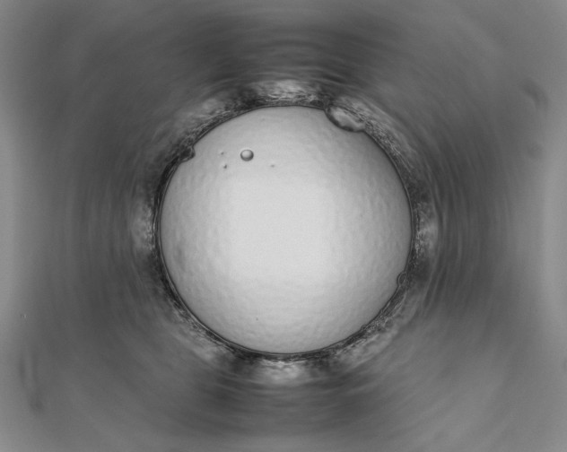 X0000111780469200908061119