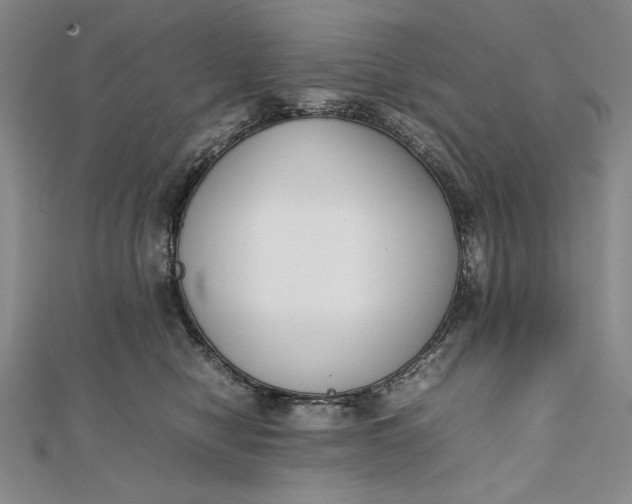 X0000111780470200908061119