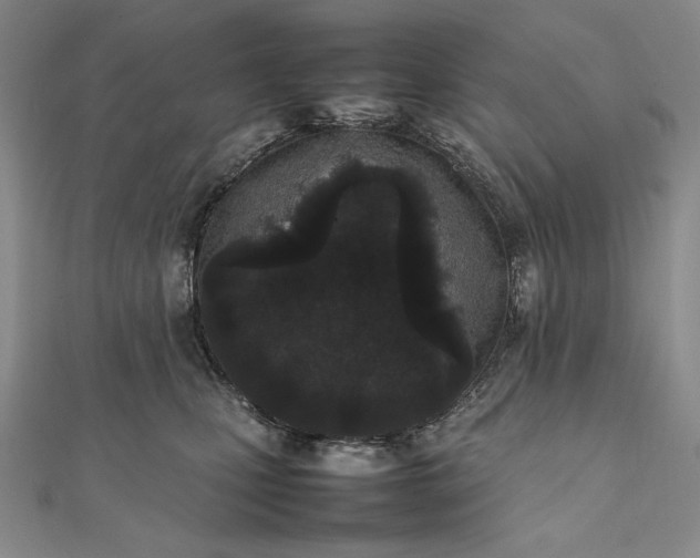 X0000111780471200908061119