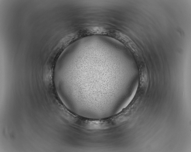 X0000111780473200908061119