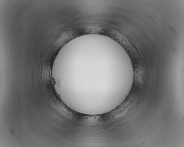 X0000111780474200908061119