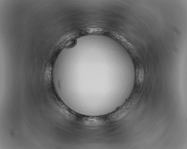 X0000111780475200908061119