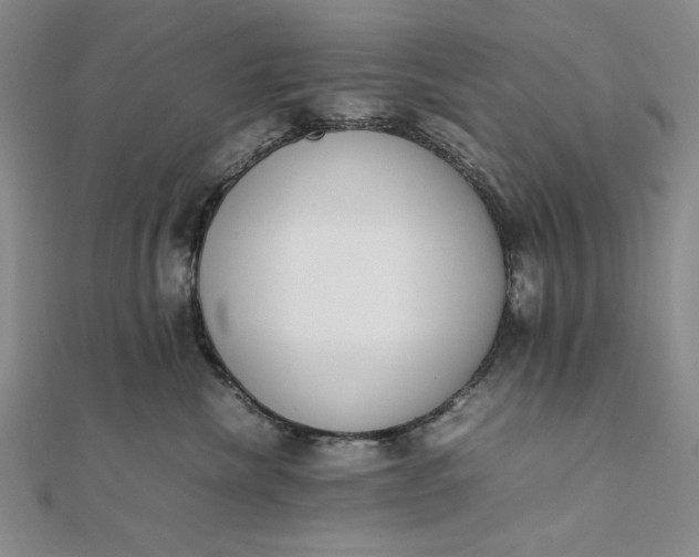 X0000111780476200908061119