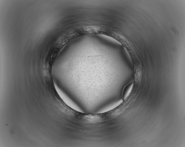 X0000111780477200908061119