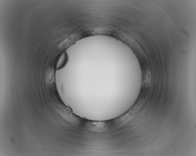 X0000111780478200908061119