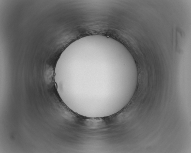X0000111780480200908061119