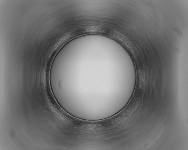 X0000111780482200908061118