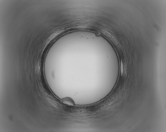 X0000111780483200908061118
