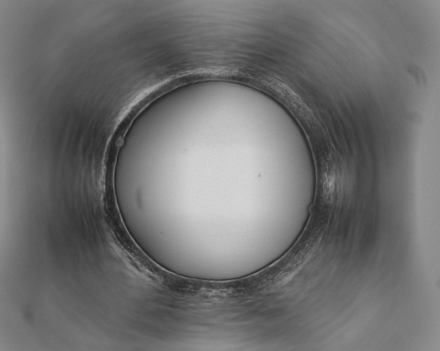 X0000111780484200908061118