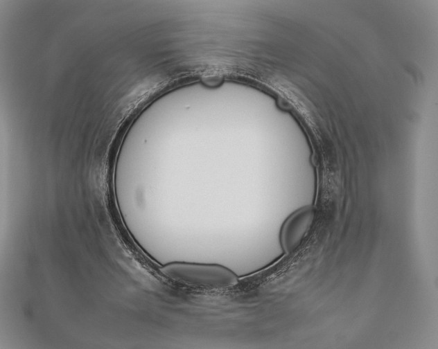 X0000111780485200908061118