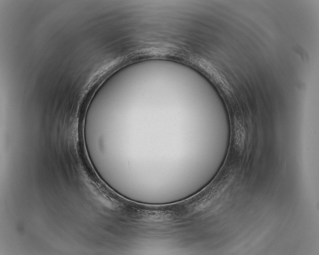 X0000111780486200908061118