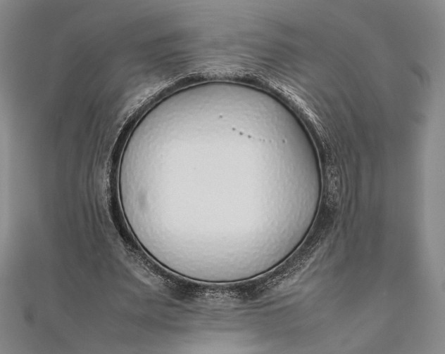 X0000111780487200908061118