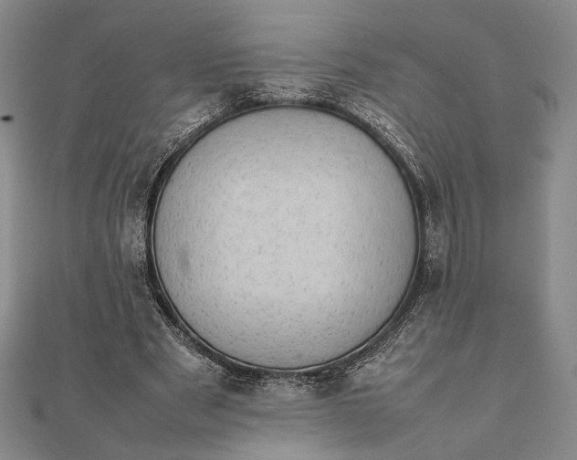 X0000111780489200908061118