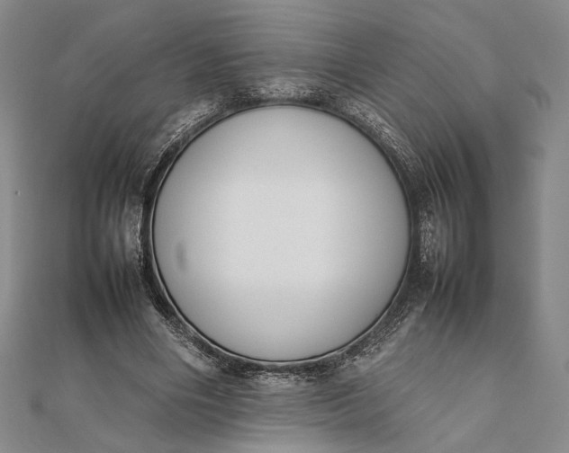 X0000111780490200908061118