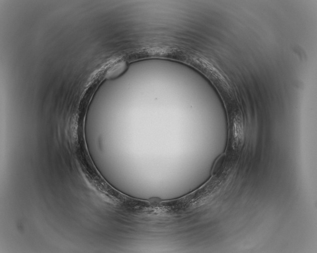 X0000111780492200908061118