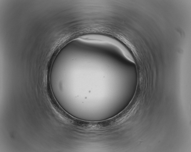 X0000111780493200908061118