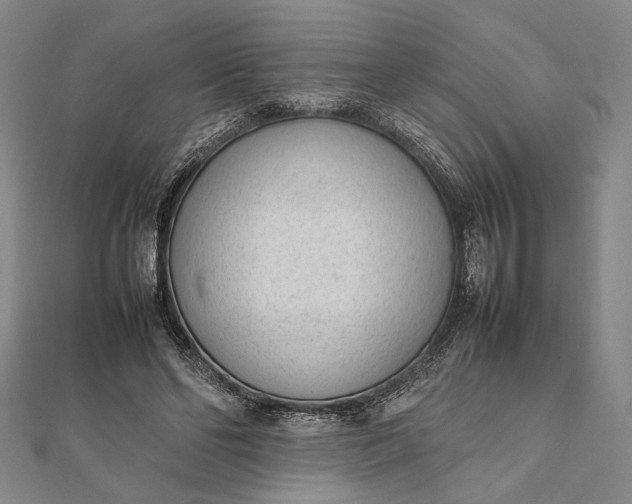X0000111780494200908061118