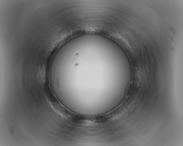 X0000111780496200908061118
