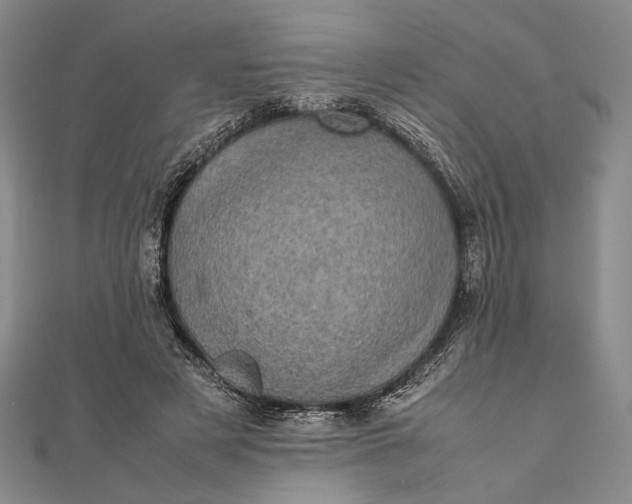 X0000111780497200908061118