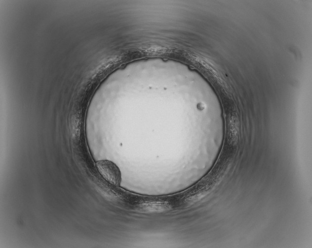 X0000111780499200908061118