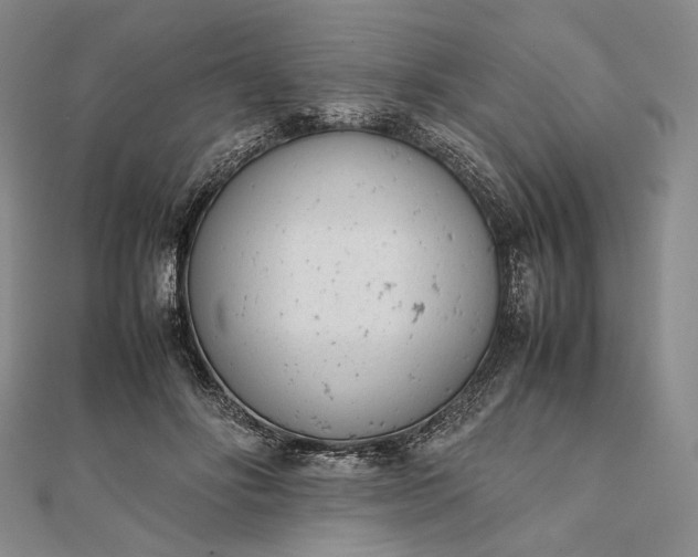 X0000111780502200908061118