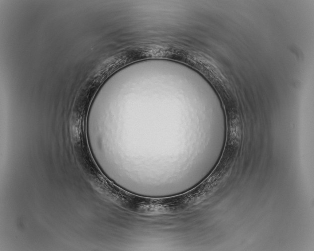 X0000111780503200908061118