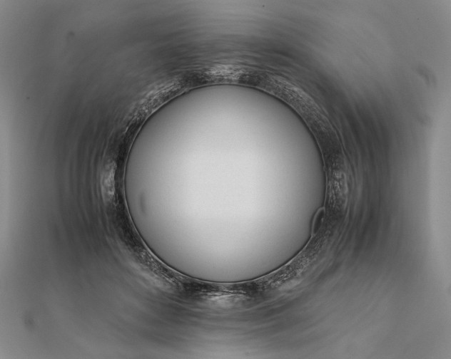 X0000111780504200908061118